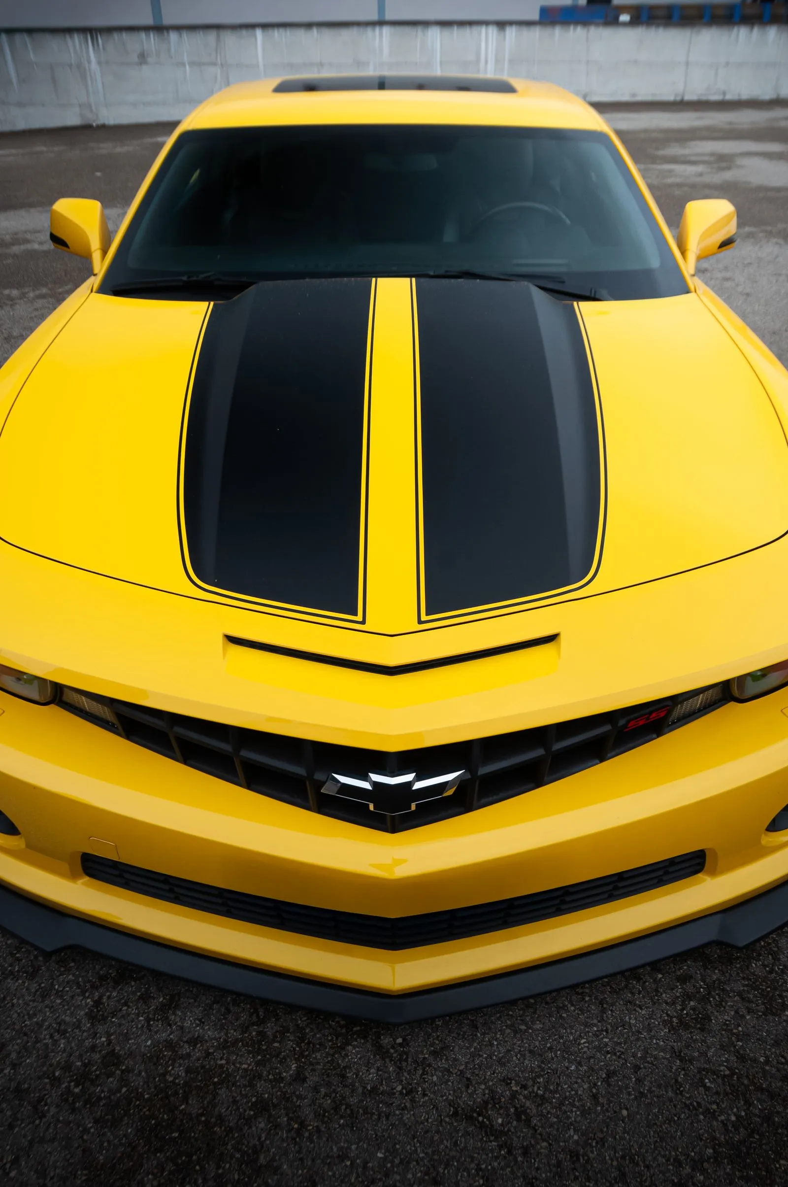 Racing Stripes