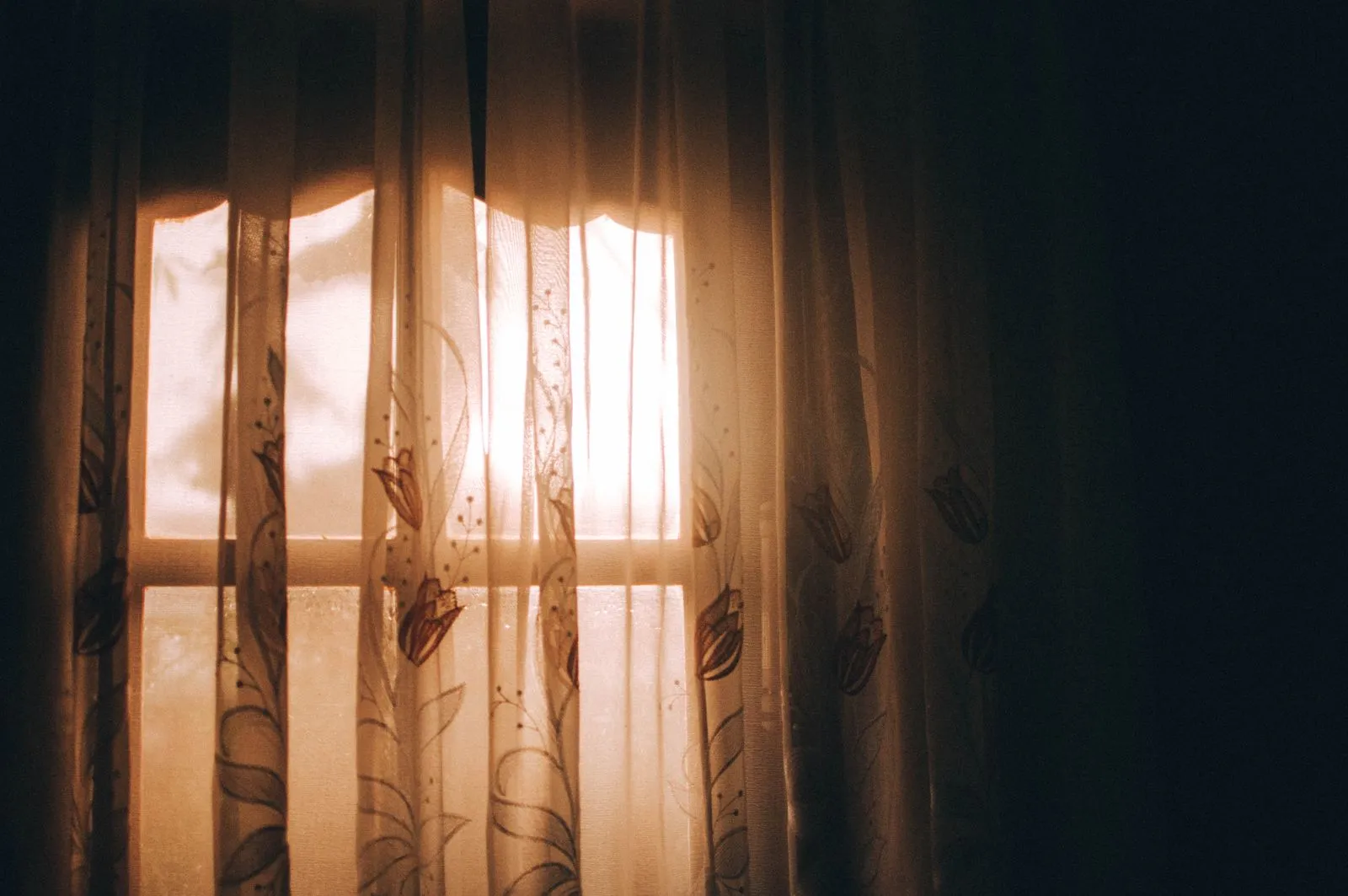 Privacy & Decorative Film