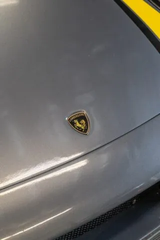 Lamborghini Badge Hood Crest Grey Yellow Detail WrapLabs Shop