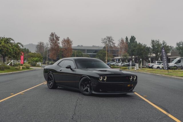 Dodge Challenger SRT Hellcat Gloss Black Vinyl Wrap Gold Pinstripe Front Head On Street, by Wrap Labs, Westlake Village