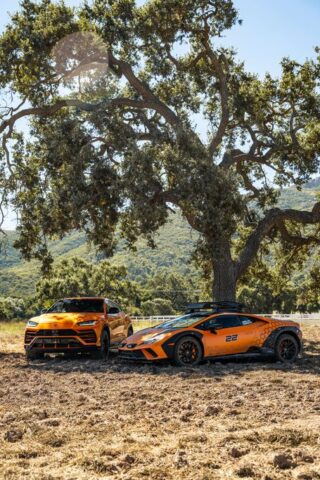 Lamborghini Huracan Sterrato and Urus Orange Vinyl Wrap Two Car Field Tree Sunflare, by Wrap Labs, Westlake Village
