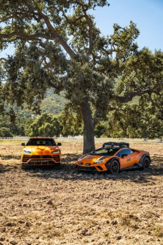 Lamborghini Huracan Sterrato and Urus Orange Vinyl Wrap Two Car Field Tree, by Wrap Labs, Westlake Village