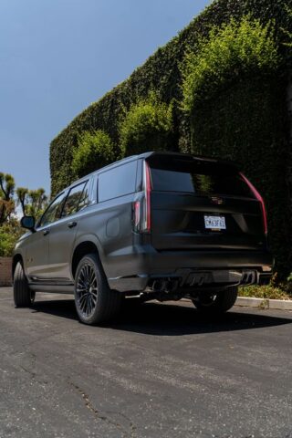 MGS02096 Enhanced NR 2, by Wrap Labs, Westlake Village