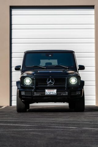 MGS02215 Enhanced NR, by Wrap Labs, Westlake Village