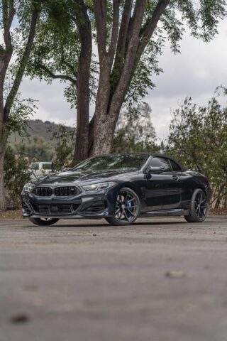 MGS04870 Enhanced NR, by Wrap Labs, Westlake Village